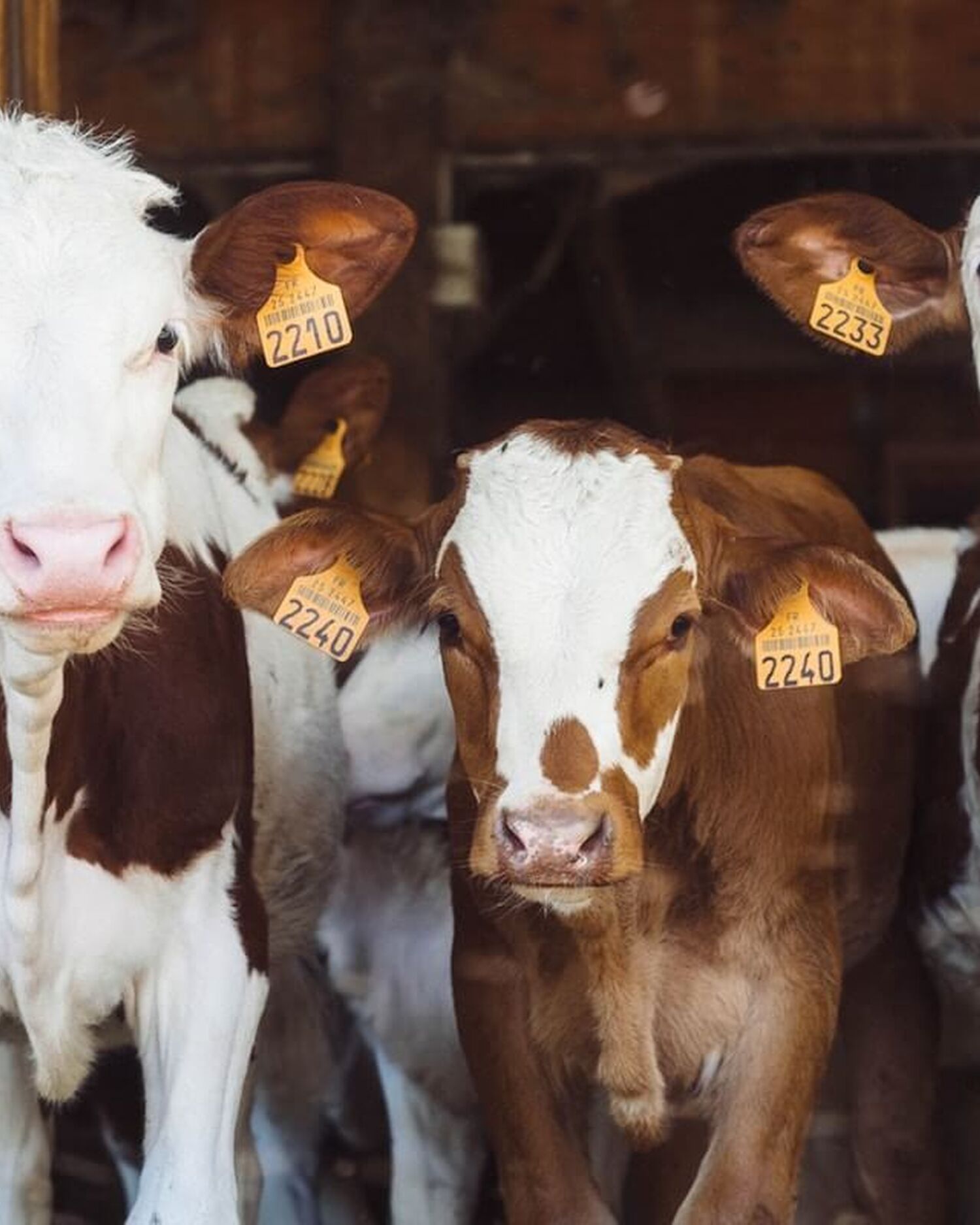 Annie spratt J Mj Nn Q2x Fo Y unsplash