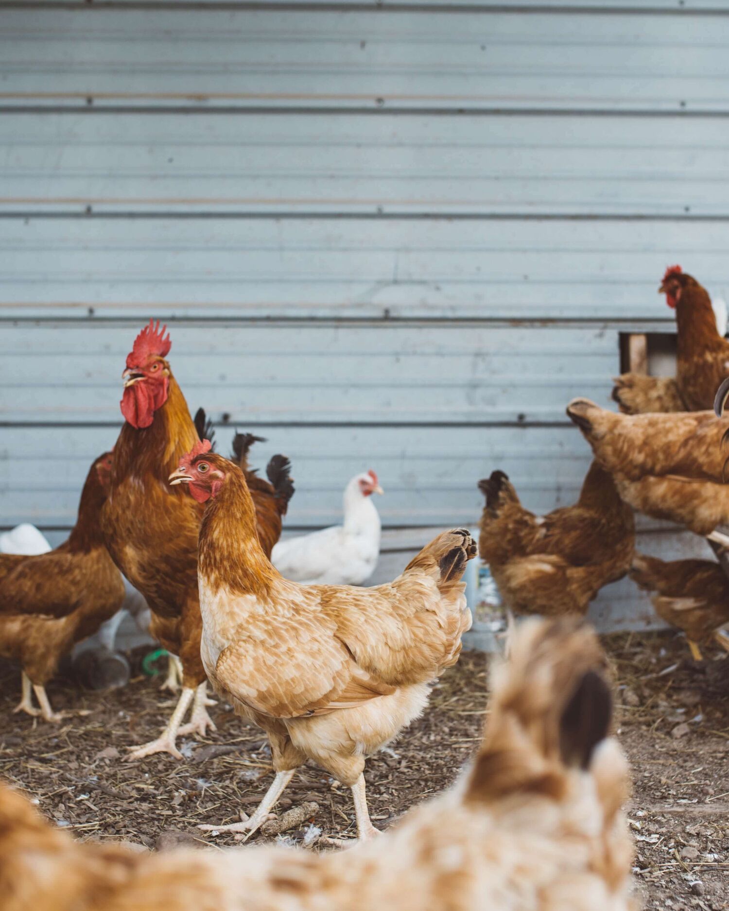 Brooke cagle Een Uxv Vlt Ms unsplash